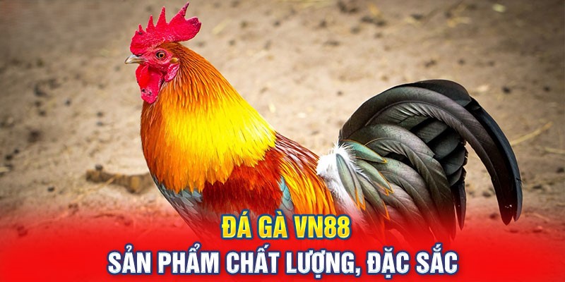 Những thế mạnh của sân chơi đá gà 88vn